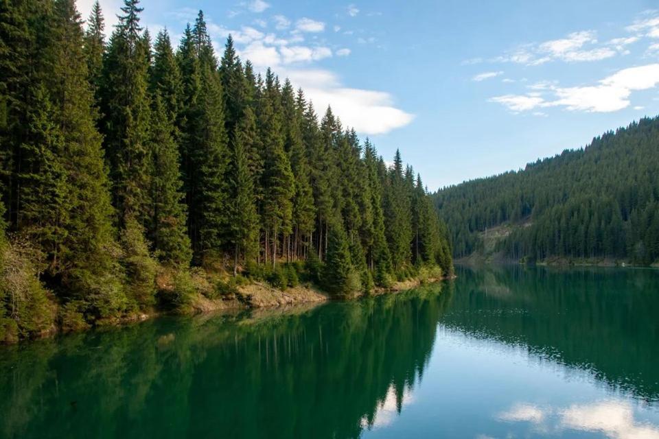 Camping Aviator, Numai Teren, Campare Pentru Rulote Autorulote Personale, Campingul Nu Are Rulote !!! Szászbuda Kültér fotó